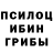 Псилоцибиновые грибы мицелий Ira Go